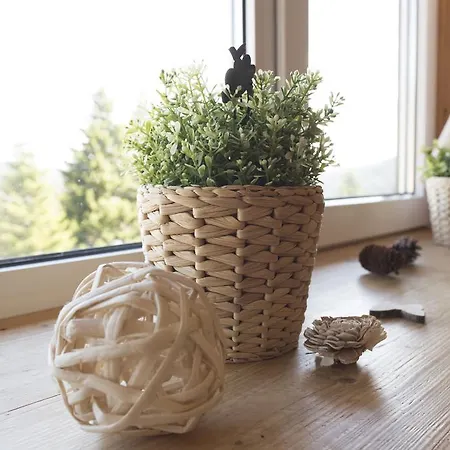 Apartment Kuckucksnester Feldberg