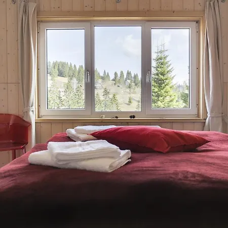 Apartment Kuckucksnester Feldberg Feldberg (Baden-Wurttemberg)